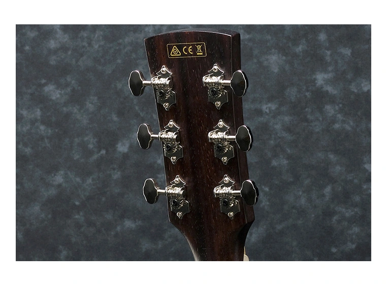 Ibanez PC-12MH OPN akgitar 